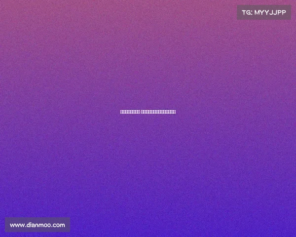 网球比赛全程解析 从热身到颁奖典礼的每一个环节